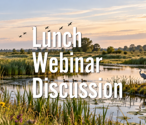 Lunch Webinar Discussion 'Biodiversity'